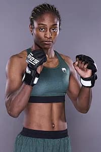 シャネル・ダイアー