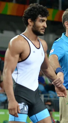 Mahmoud Fawzy Sebie